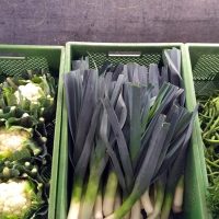 Gemüse in Bio-Qualität